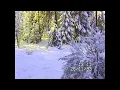 Download Lagu 1993-11-2 - altanen och snö (Arvika Mötterud)