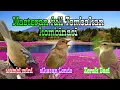 Download Lagu Masteran Full Tembakan Kombinasi,Sikatan Londo,Kerak basi dan Wambi mini