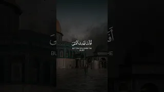 أ ف أ نت ت ه د ي الع م ي ولو كانوا لا ي ب ص ر ون تلاوة تهز القلوب القارئ عبد الرحمن مسعد 