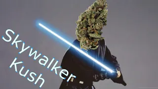 Im Skywalker Kush Im Here to Rescue You