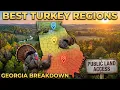The Best Wild Turkey Hunting Locations on Public Land in Georgia Regional Breakdown