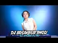 Download Lagu DJ BREAKBEAT TERBARU 2022 FULL BEAT TINGGI DJ AYUDIA PUTRI