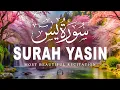 Download Lagu Surah Yaseen سورة يس | Soothing \u0026 Beautiful Recitation for Inner Peace by Alaa Aqel Quran for Sleep