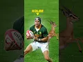Download Lagu If Kolbe Were An Animal 🥶🤯 #rugby #shorts #cheslinkolbe