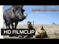 Download Lagu DER KÖNIG DER LÖWEN – Filmclip: Wir nennen ihn Fred | Disney HD