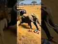 Download Lagu What If a Lion Approaches You and an Elephant Comes to the Rescue!