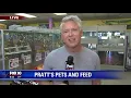 Cory McCloskey with Pratt s Pets And Feed