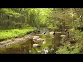 Have You Stopped to Notice - S. Carey