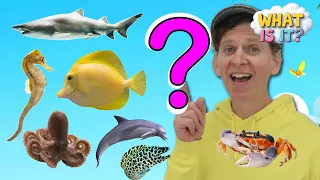 Sea Creatures - What Is It? 🐬  | Guessing Game, Vocabulary Builder | Dream English Kids
