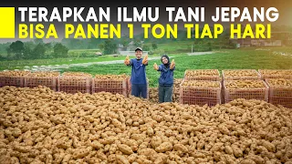 MODAL ILMU JEPANG! 2 BERSAUDARA INI SUKSES KELOLA 17 HEKTAR UBI MADU