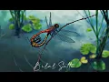 Kouz1 ft Tagne - J'en ai marre [Slowed , Reverb and bass boosted ]