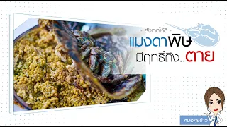  แมงดาทะเลที่กินแล้วทำให้เสียชีวิตได้ มีสารพิษอะไรบ้าง และส่งผลต่อร่างกายอย่างไร 