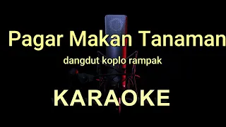 Download PAGAR MAKAN TANAMAN - Mansyur S - KARAOKE DANGDUT KOPLO MP3