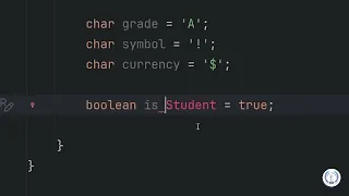 02 - Variables in Java