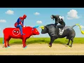Lagu الرجل العنكبوت انقاذ باتمان Spider-Man Rescue batman vs iron man vs venom funny Game GTA 5 superhero
