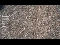 “Edgeways “ - Asha Banks (unofficial visualizer)