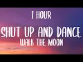 Download Lagu WALK THE MOON - Shut Up and Dance (1HOUR/Lyrics)