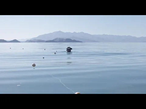 Trailer UNA CORRIENTE SALVAJE (A WILD STREAM) de/by Nuria Ibañez Castañeda