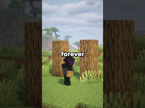 Nobody Will Ever See Your Minecraft Builds