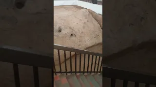 أثر اقدام ناقة النبي صالح عليه السلام 