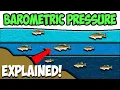 How BAROMETRIC PRESSURE Effects Fishing Explained