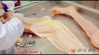 لا اله الا الله تشريح جسم الإنسان داخل المشرحه 