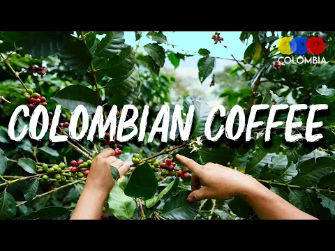Hacienda Venecia Colombia Coffee Tour - Traveling Colombia