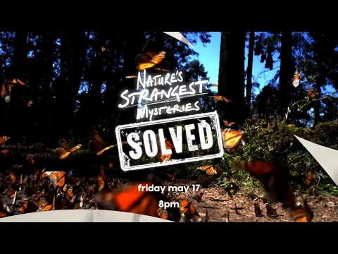 Nature's Strangest Mysteries: Solved (2019) Intro
