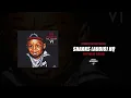 Lil Wayne, Jelly Roll, Big Sean - Sharks (Official Audio) HQ