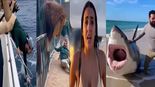 مجموعة من الفيديوهات التقطتها كاميرات المراقبة فديوهات نادرة الاكثر آثاره مواقف مختلفة ومتنوعة  مجموعة من الفيديوهات التقطتها كاميرات المراقبة فديوهات نادرة الاكثر آثاره مواقف مختلفة ومتنوعة