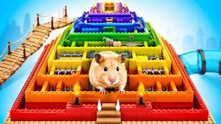 🐹😱 Can This Hamster Escape the GIANT Pyramid Maze? 🧱