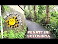 Download Lagu Walking Around ~ Kajeng Rice Fields ~ Ubud ~ Bali