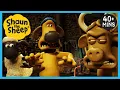 Lagu Shaun the Sheep 🐑 Full Episodes 🐮 The Bull, Picnics, Memories, Film Night + MORE | Cartoons for Kids