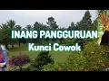 Download Lagu Karoke lagu simalungun ~INANG PANGGURUAN~ |Kunci Cowok (lirik)