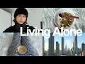 Lagu Living Alone Diaries | New Year Reset \u0026 Routines