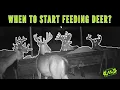 When Should You Start Feeding Deer