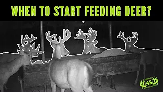 When Should You Start Feeding Deer