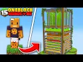I Built the Biggest Farm in ONE BLOCK Minecraft