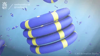 Self Replication How molecules can make copies of themselves