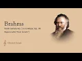Download Lagu Brahms - Violin Sonata No. 1 in G Major, Op. 78, \
