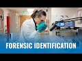 Forensic Identification Specialist Unit
