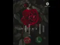 Lagu Red rose  ring tone