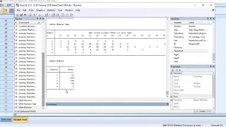 Stata Summary Tables