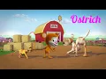 Download Lagu Kids Videos l Monkey See Monkey Do l Ostrich l Cartoon I