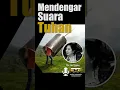 Download Lagu Mendengar Suara Tuhan (Ev. Iin Tjipto) #shorts