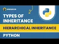 Master Python s Hierarchical Inheritance with Real-Life Examples