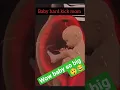 Download Lagu Mother painful delivery newborn twins baby💖😘! Pain can't explain #shorts  #trending #viral #nursing