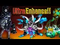 Which Cats Should You Ultra Form Part 1