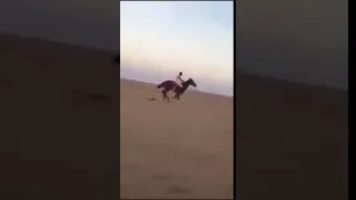 شاهد تاثير عين الحاسد في الحال العين تفلق الحجر  شاهد تاثير عين الحاسد في الحال العين تفلق الحجر