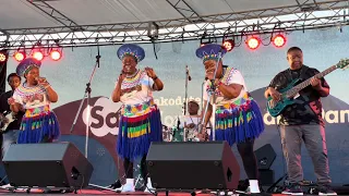 mahotella queens live in japan 